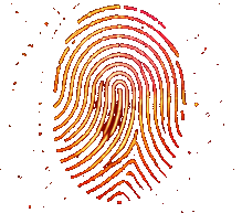 Phlame Protocol